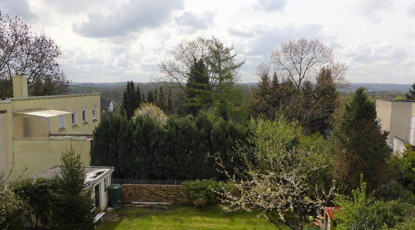 Ausblick auf den rückseitigen Garten