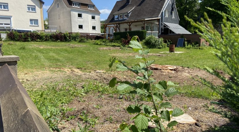 Ansicht Grundstück