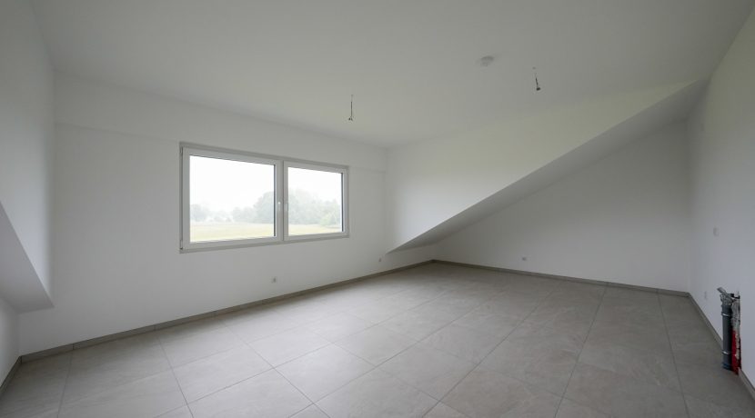 Wohn-Esszimmer