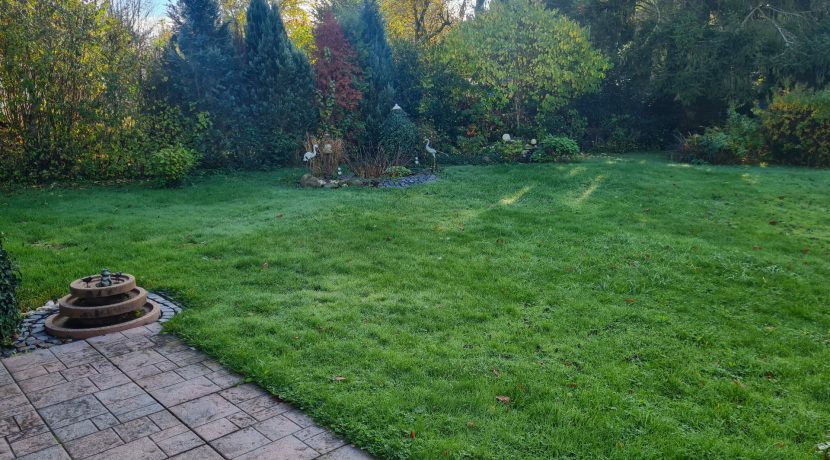 Blick in den Garten