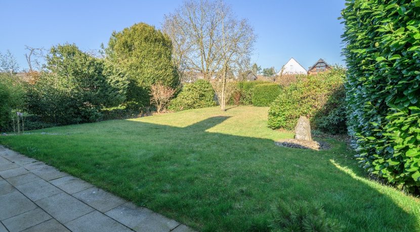 Blick in den Garten