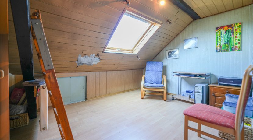 Zimmer DG
