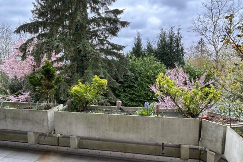 Ausblick ins Grün