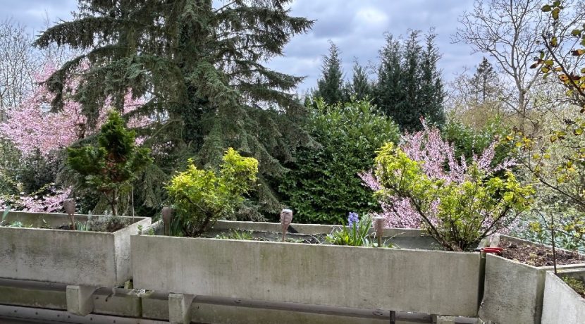 Ausblick ins Grün