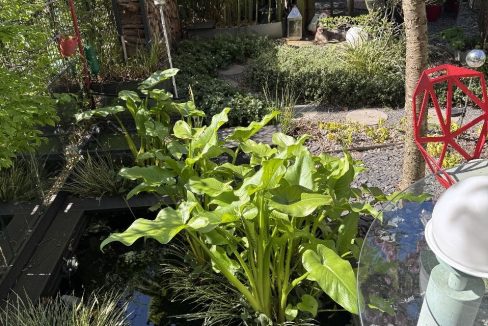 Gartenteich mit angrenzender Terrasse