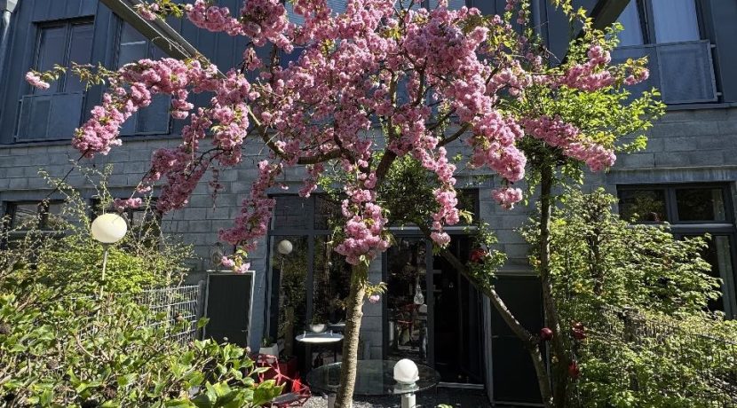 Gartenansicht