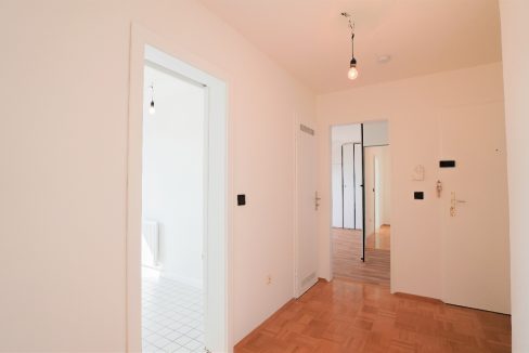 Die zentrale Wohnungsdiele