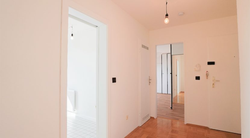Die zentrale Wohnungsdiele