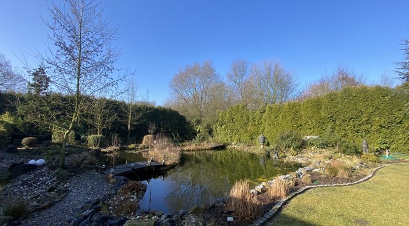 ... Garten mit Teich
