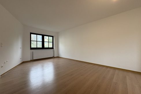 Wohn-/Esszimmer