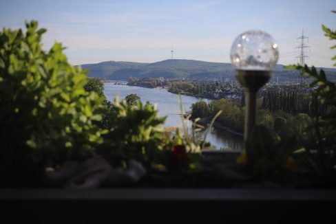 Ausblick