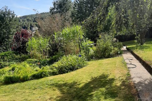 Garten im Sommer