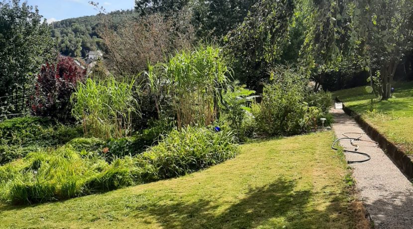 Garten im Sommer