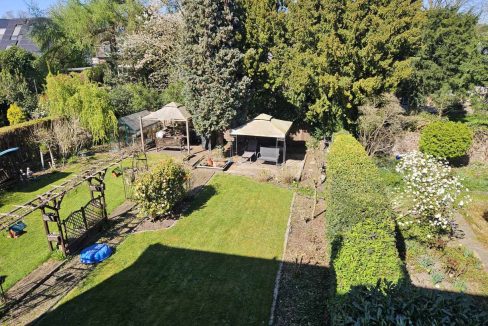 Blick in den Garten
