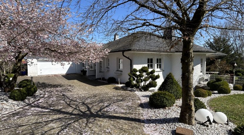 Ansicht Eingang und Garage
