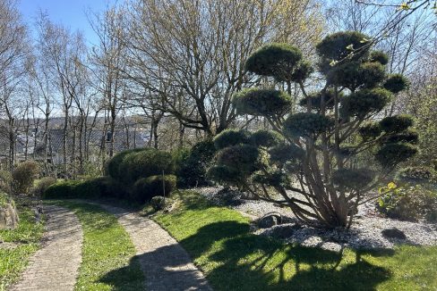 Zufahrt Garten