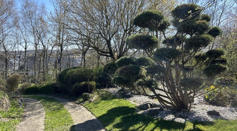 Zufahrt Garten