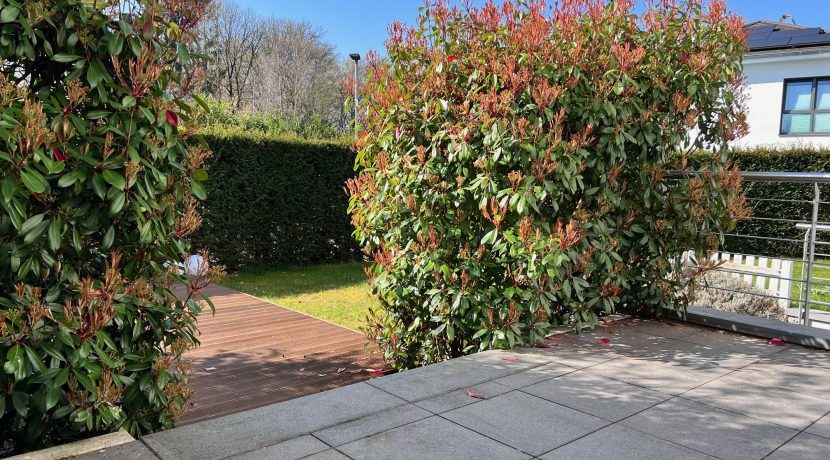 Terrasse und Garten