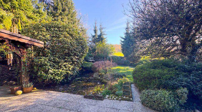 Terrasse mit Blick ins Grüne
