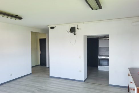 Wohnzimmer mit Zugang zur Küche