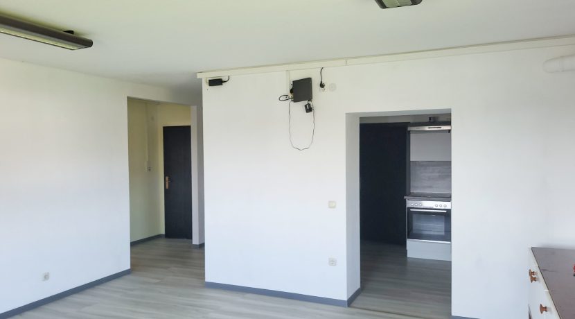 Wohnzimmer mit Zugang zur Küche
