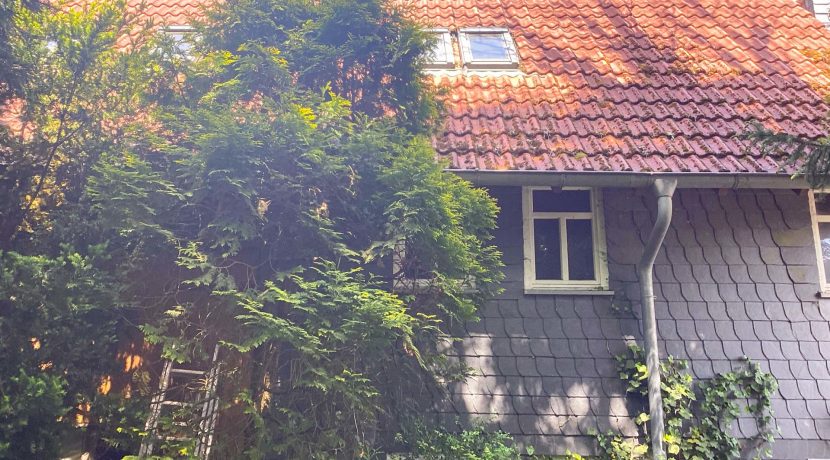12-bearbeitet