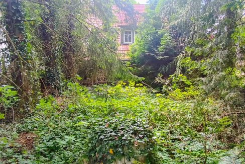 IMG_20250515_131422-bearbeitet