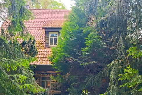 IMG_20250515_130941-bearbeitet