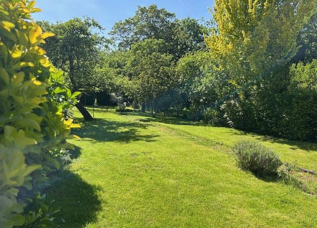 Gartenansicht