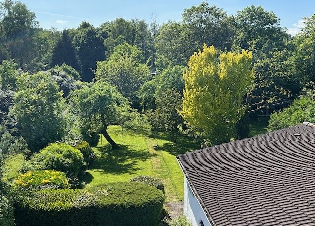 Ausblick von der Dachterrasse