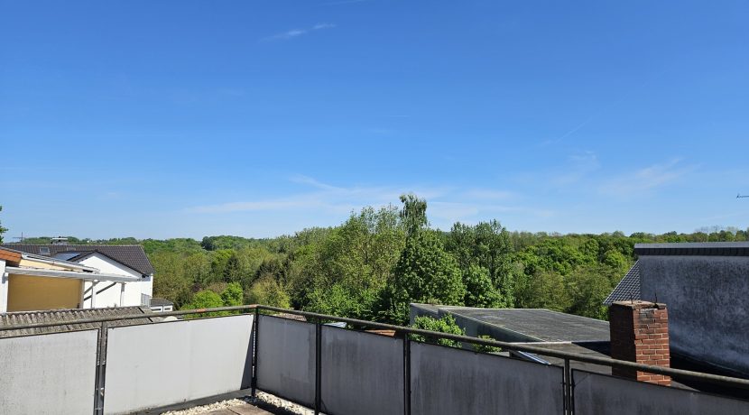 XXL-Dachterrasse