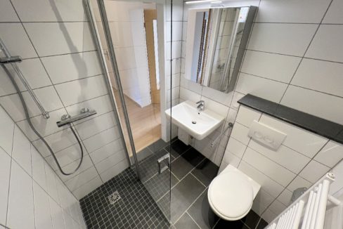 Modernes Tageslichtbad (erneuert 2024)