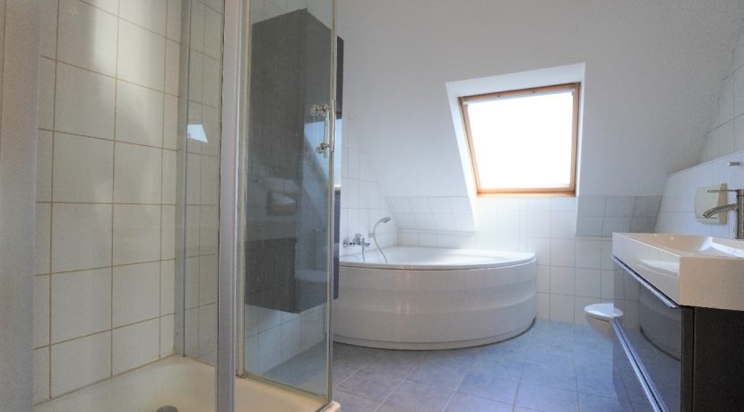 Badewanne und Dusche