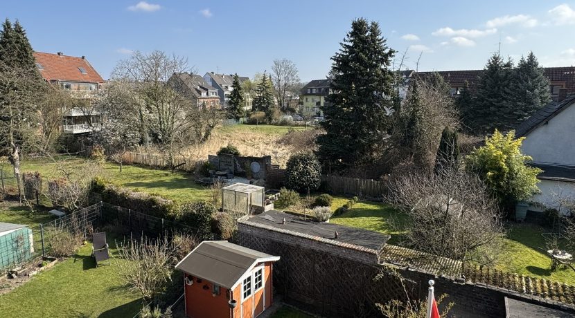 Blick in den Garten