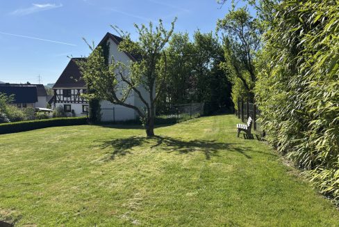 Wiese