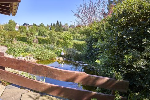 Kleiner Teich an der Terrasse