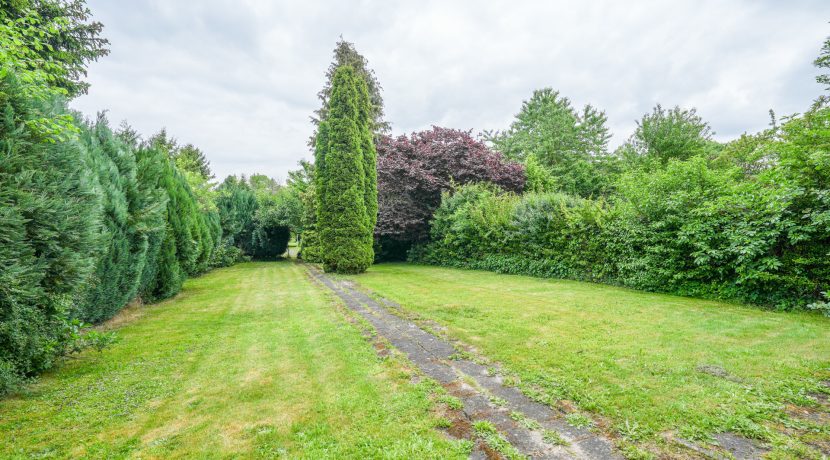 Gartenbereich 1