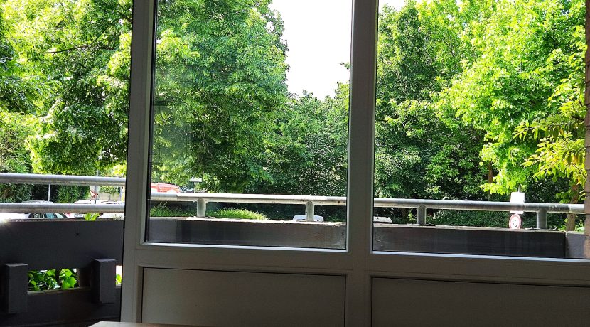 toller Ausblick
