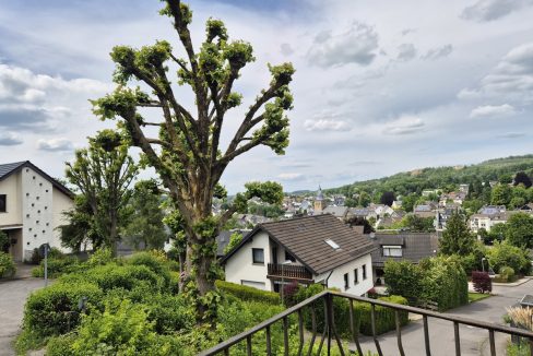 ...Panoramablick über den Ort