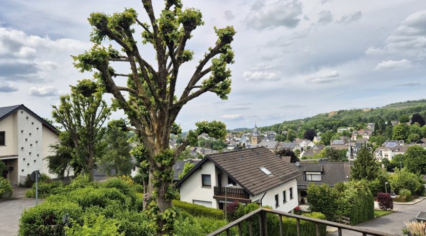 ...Panoramablick über den Ort