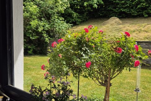 Küchenausblick auf die Terrasse
