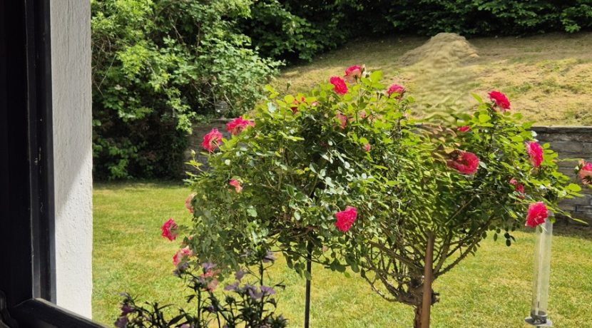 Küchenausblick auf die Terrasse