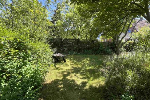 Blick in den Garten