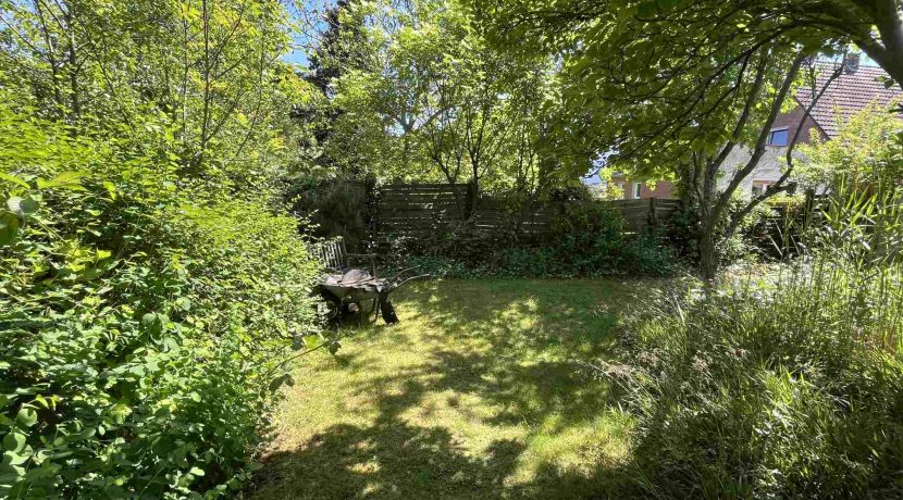 Blick in den Garten