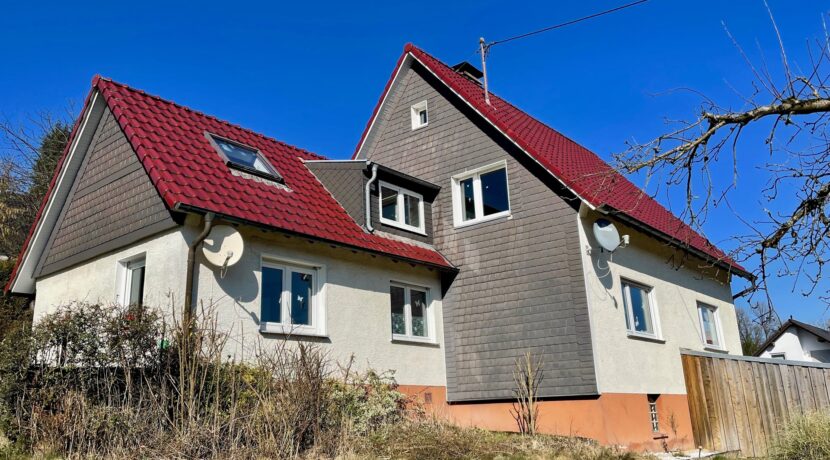 Haus mit Anbau (1994)
