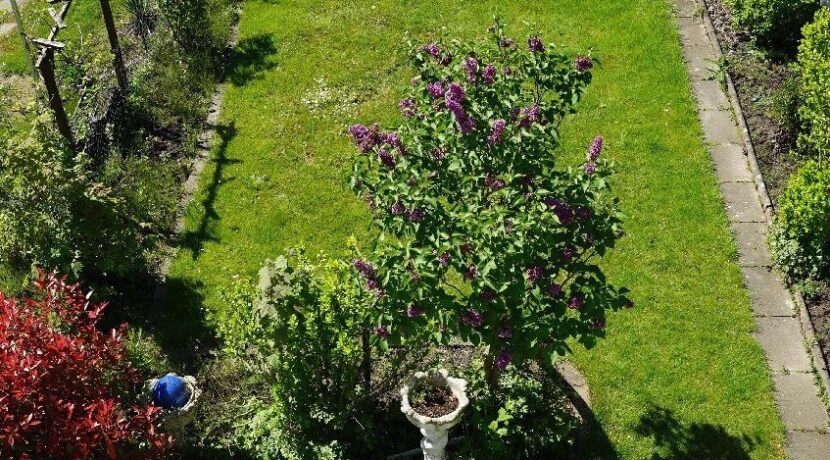 Gartenüberblick