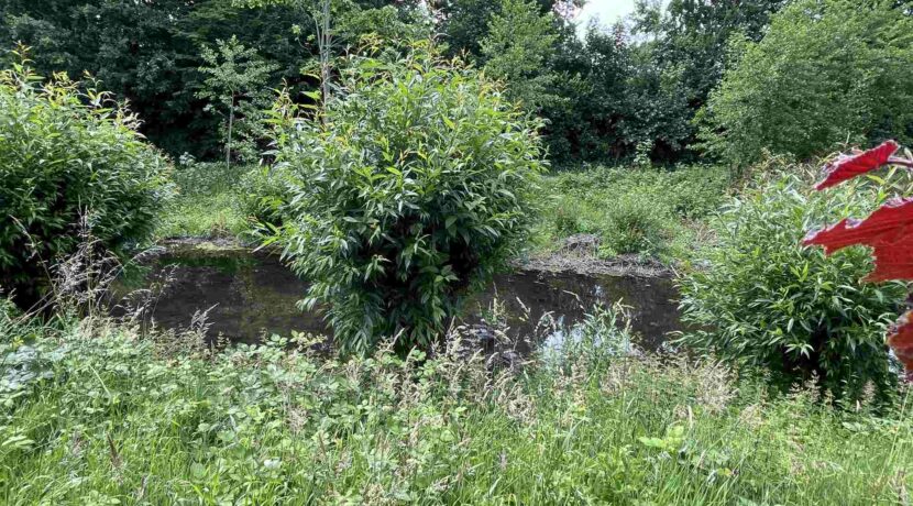 Angrenzend - der Moersbach
