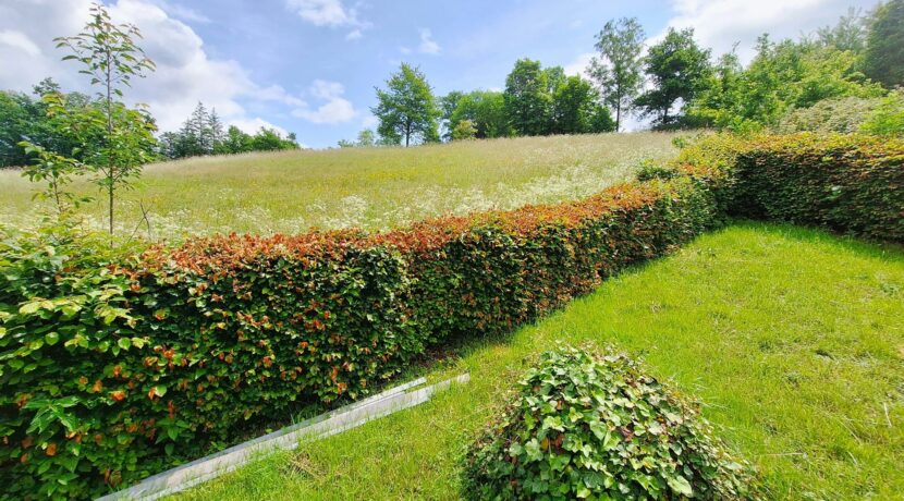 Blick vom Garten