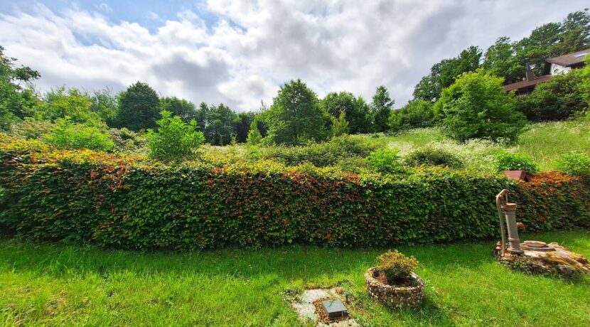 Blick vom Garten