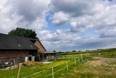 Stallansicht